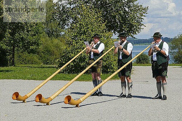 Alphornbläser am Forggensee  Füssen  Allgäu  Schwaben  Bayern  Deutschland  Europa