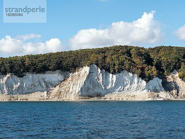 Berühmten Kreidefelsen  Jasmund Nationalpark  Insel Rügen  Ostsee  Mecklenburg-Vorpommern  Ostdeutschland  Deutschland  Europa