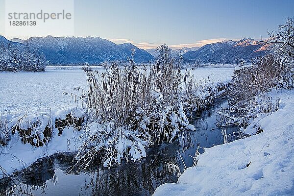 Winterlandschaft im Murnauer Moos mit Estergebirge und Ammergauer Alpen  Murnau am Staffelsee  Das Blaue Land  Oberbayern  Bayern  Deutschland  Europa