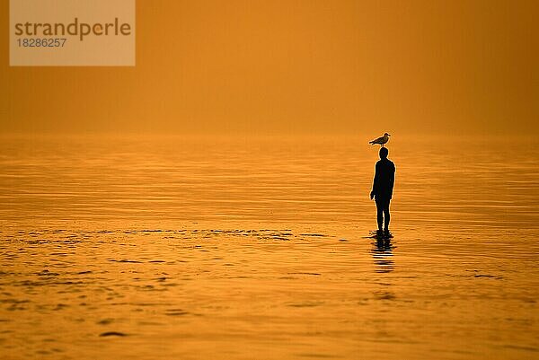 Skulptur Another Time XVI von Antony Gormley als Silhouette im Sonnenuntergang an der Nordseeküste bei Knokke-Heist  Westflandern  Belgien  Europa