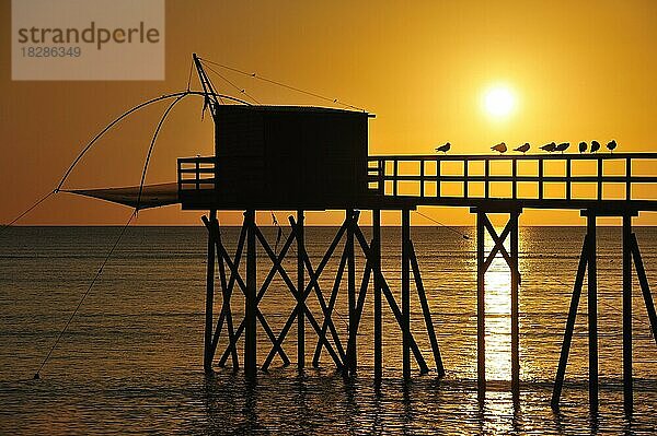 Traditionelle Carrelet-Fischerhütte mit Stellnetz am Strand bei Sonnenuntergang  Loire-Atlantique  Frankreich  Europa