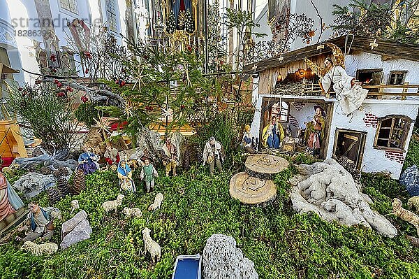 Weihnachtskrippe in der Kirche St. Peter und Paul  Bad Petersthal  Allgäu  Bayern  Deutschland  Europa