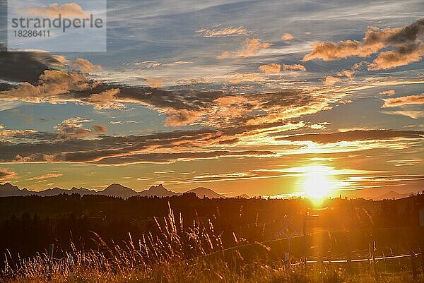 Sonnenuntergang bei Rottenbuch im Pfaffenwinkel mit Blick auf die Allgäuer Berge  Bayern  Deutschland  Europa