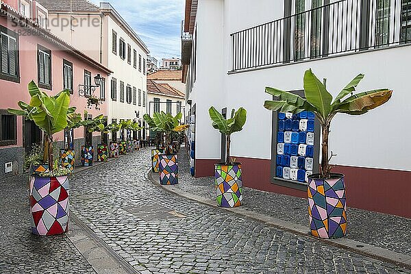 Gemütliche Gassen und Straßen  Camara de Lobos  Funchal  Insel Madeira  Portugal  Europa