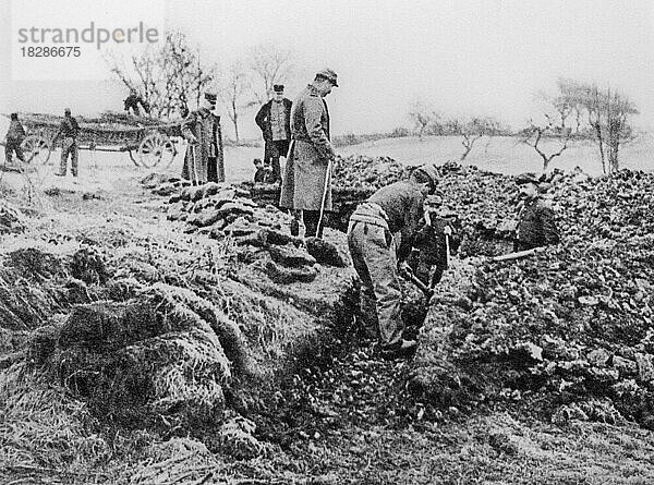 WWI Britisches 2. Bataillon  Royal Scots Fusiliers beim Graben von Gräben bei Geluwe 1914 während des Ersten Weltkriegs in Westflandern  Belgien  Europa