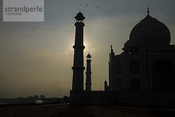 Taj Mahal am frühen Morgen mit seinem Minarett im Gegenlicht der aufgehenden Sonne und Vögeln  die in der Nähe der Turmspitze fliegen. Weltwunder  UNESCO-Weltkulturerbe  berühmtes Wahrzeichen und Touristenattraktion. Agra  Uttar Pradesh  Indien  Asien