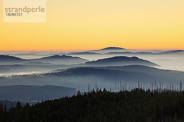 Blick vom Berg Lusen über den nebelverhangenen Bayerischen Wald bei Sonnenaufgang  Nationalpark Bayerischer Wald  Bayern  Deutschland  Europa