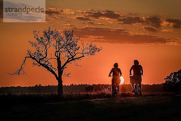 Junges Paar auf dem Fahrrad in der Abenddämmerung  Silhouette im Sonnenuntergang  Nationalpark Dwingelderveld  Drenthe  Niederlande  Europa