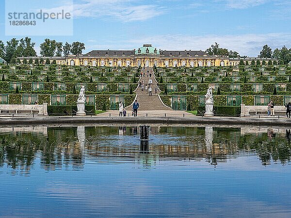Die Wasserspiegelung der Großen Fontäne und dahinter das Schloss Sanssouci mit dem Treppenaufgang und dem Park Sanssouci  Potsdam  Brandenburg  Deutschland  Europa