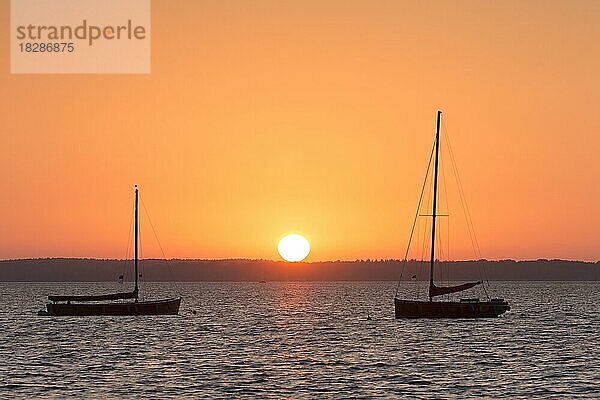 Zwei Auswanderer  traditionelle Holzsegelboote im Steinhuder Meer  Steinhuder Meer  Silhouette im Sonnenuntergang  Niedersachsen  Deutschland  Europa