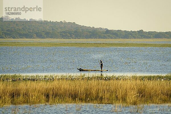 Schwarzer Fischer  der in seinem Kanu steht und sein Boot mit einem langen Stock auf dem Chobe-Fluss schiebt. Botswana