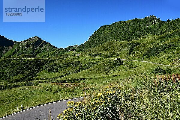 Der Furkapass im Bregenzerwald  im Hintergrund das Furkajoch (1759 m)  Vorarlberg  Österreich  Europa