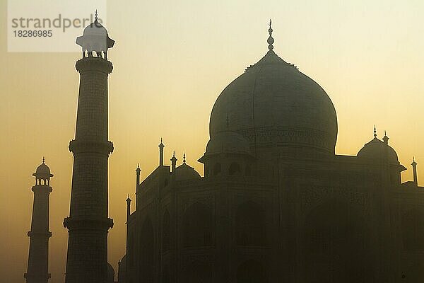 Das Taj Mahal mit seinen Minaretten bei Sonnenaufgang  kurz nachdem der Morgennebel verschwunden ist  im goldenen Gegenlicht. Weltwunder  UNESCO-Weltkulturerbe  berühmtes Wahrzeichen und Touristenattraktion. Agra  Uttar Pradesh  Indien  Asien