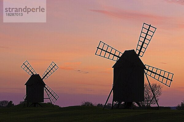 Zwei traditionelle Windmühlen in Resmo auf der Insel Öland  Schweden  im Schatten des Sonnenuntergangs  Europa