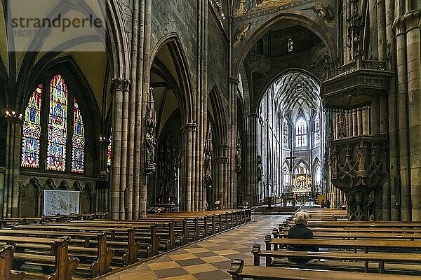 Freiburger Münster  Innenansicht  Freiburg im Breisgau  Schwarzwald  Baden-Württemberg  Deutschland  Europa