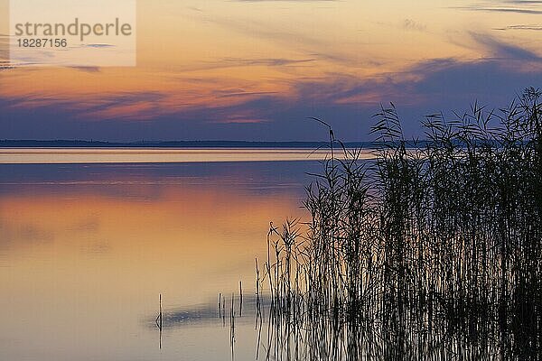 Müritzsee bei Sonnenuntergang im Müritz-Nationalpark  Müritz Nationalpark  Mecklenburg-Vorpommern  Deutschland  Europa