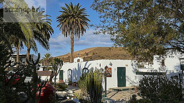 Park  Palme  weißes Gebäude  blauer Himmel  weiße Wolken  Haria  Norden  Lanzarote  Kanarische Inseln  Spanien  Europa