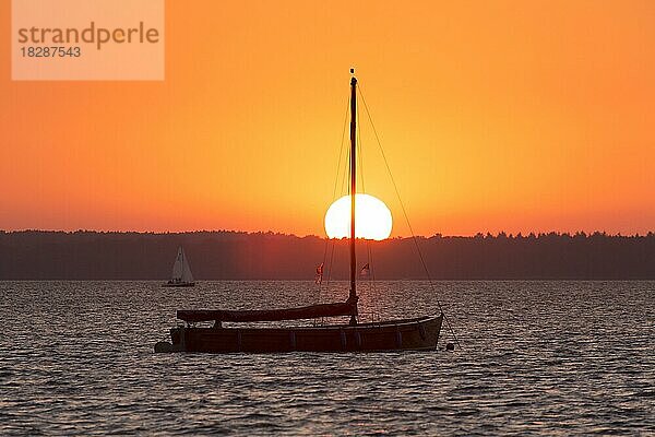 Auswanderer  traditionelles hölzernes Segelboot im Steinhuder Meer  Steinhuder Meer  Silhouette im Sonnenuntergang  Niedersachsen  Deutschland  Europa