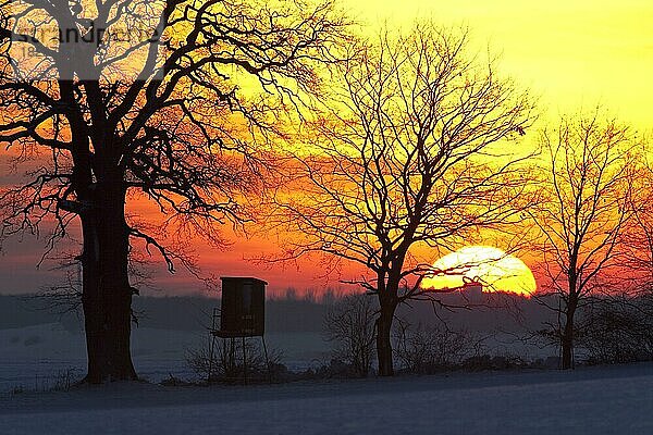 Hochstand für die Hirschjagd auf einem Feld im Schnee im Winter  Silhouette gegen Sonnenuntergang  Deutschland  Europa