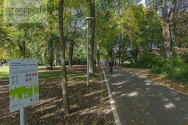 Allee  Stadtpark  Grünanlage  Stuttgart-Vaihingen  Ruhe  Erholung  autofrei  Baden-Württemberg  Deutschland  Europa