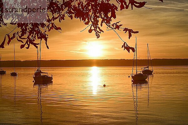 Segelboote im Sonnenuntergang in der Herrschinger Bucht am Ammersee  Bayern  Deutschland  Europa