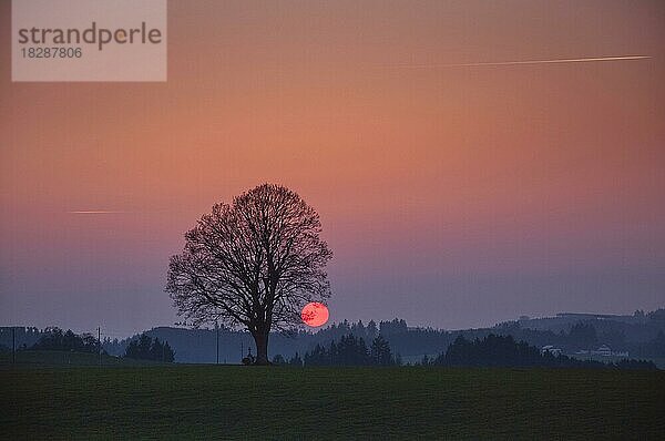 Sonnenuntergang im Voralpenland im Allgäu  Schwaben  Bayern  Deutschland  Europa