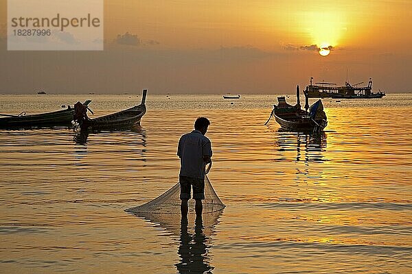 Thailändische Fischerboote als Silhouette im Sonnenuntergang  Insel Ko Tao  Koh Tao  Teil des Chumphon Archipels in Südthailand