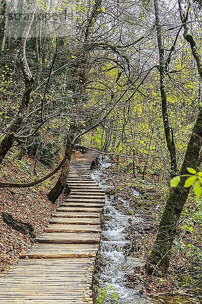 Holzpfad und Bach  Nationalpark Plitvicer Seen in Kroatien