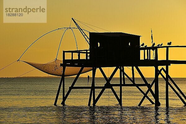 Traditionelle Carrelet-Fischerhütte mit Stellnetz am Strand bei Sonnenuntergang  Loire-Atlantique  Pays-de-la-Loire  Frankreich  Europa