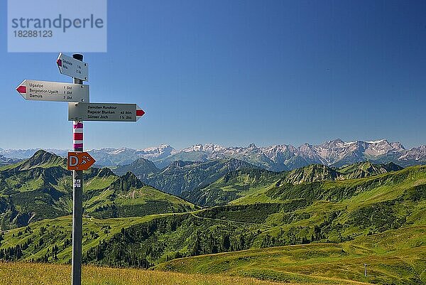 Blick vom Hochblanken (2068 m) in den Damülser Bergen Richtung Süden  Im Hintergrund recht die Schesaplana (2965 m)  Vorarlberg  Österreich Europa
