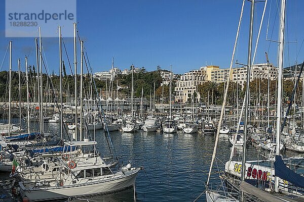 Marina  Hafen  Funchal  Insel Madeira  Portugal  Europa