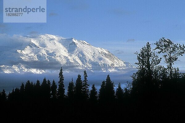 Silhouettierte Bäume und der schneebedeckte Mount McKinley im Herbst  Denali National Park  Alaska  USA  Nordamerika