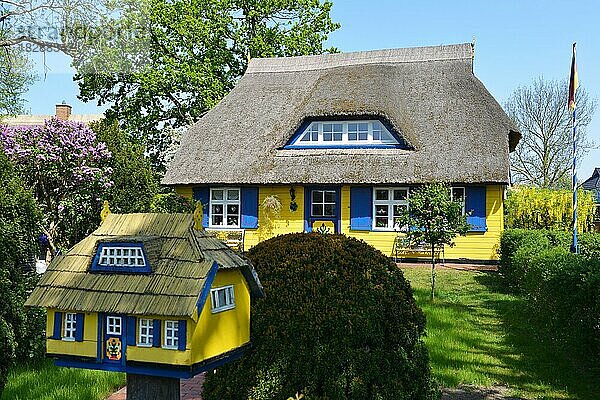 Reetdach gedecktes Haus auf dem Darß  Mecklenburg-Vorpommern  Deuschland