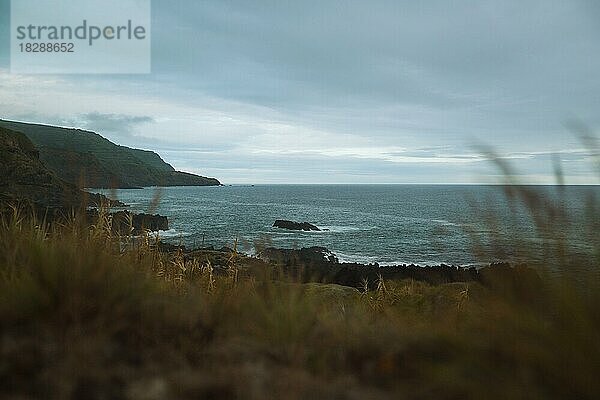 Felsküste  São Miguel Island  Azoren  Portutgal