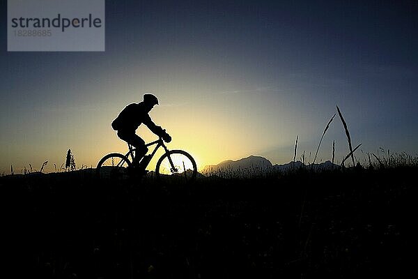 Mountainbike-Fahrer auf dem Rad  Silhouette im Sonnenuntergang