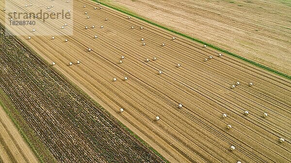 Luftaufnahme eines abgeernteten Getreidefeldes mit Strohballen bei Augsburg in Schwaben  Bayern  Deutschland  Europa