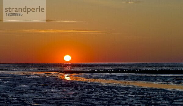 Sonnenuntergang im Wattenmeer bei Cappel Neufeld  Landkreis Cuxhaven  Deutschland  Europa