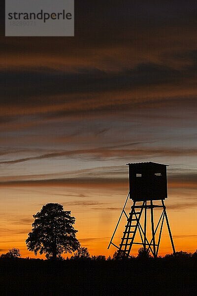 Hochsitz auf einer Wiese  Feldsilhouette im Sonnenuntergang im Herbst