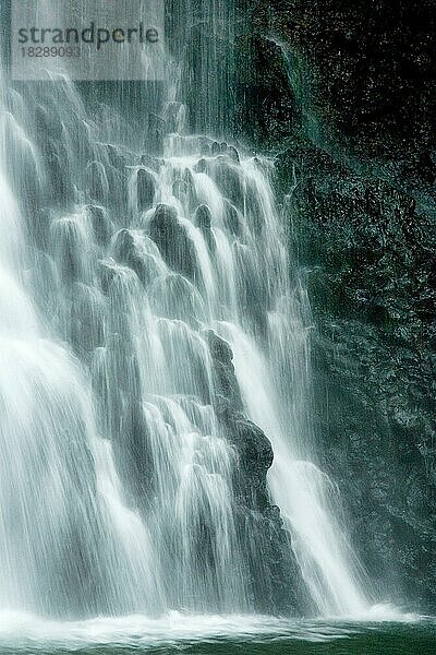 Bouma-Wasserfall auf der Insel Taveuni  Fidschi  Ozeanien