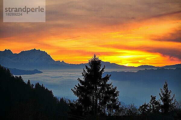 Blick vom Hochplateau Hagspiel im Allgäu bei Oberstaufen auf das Massiv des Säntis (2501 m) in den Appenzeller Alpen in der Schweiz