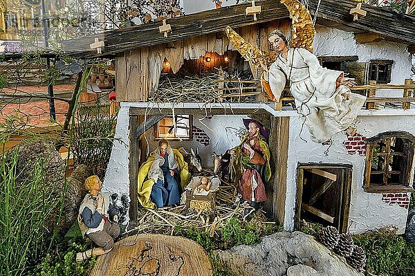 Weihnachtskrippe in der Kirche St. Peter und Paul  Bad Petersthal  Allgäu  Bayern  Deutschland  Europa