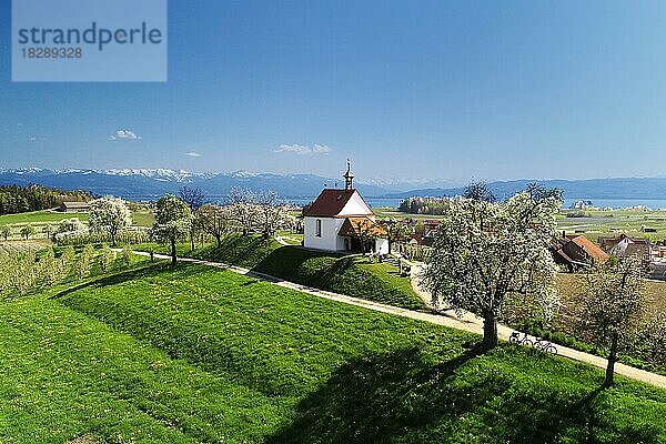 Antoniuskapelle in Selmnau am Bodensee  Bayern  Deutschland  Europa