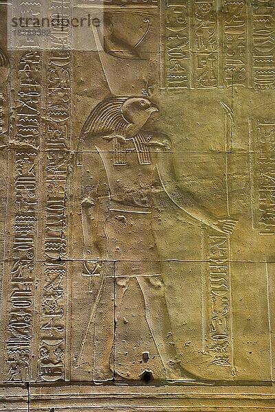 Relief Gott Horus  Horus-Tempel  Edfu  Ägypten  Afrika