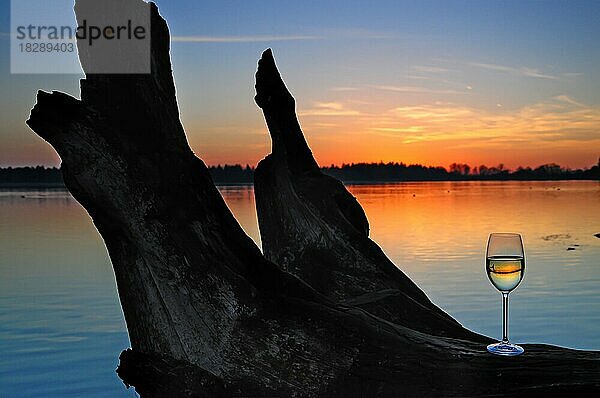 Stillleben mit Weinglas  Sonnenuntergang