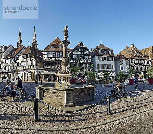 Brunnen Sainte-Odile auf dem Platz Pl. Beffroi und Fachwerkhäuser im Hintergrund  Oberehnheim  Obernai  Grand Est  Haut-Rhin  Elsass  Alsace  Frankreich  Europa