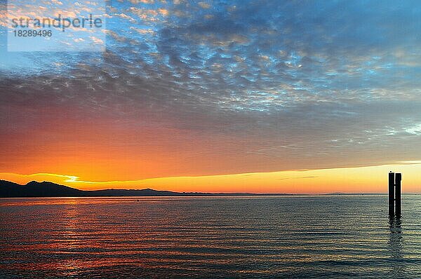 Sonnenuntergang  Bodensee  bei Lochau  Vorarlberg  Österreich  Europa