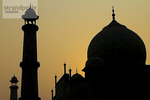 Taj Mahal im Gegenlicht der aufgehenden Sonne  das Hauptgebäude des Mausoleums und die Minarette. Weltwunder  UNESCO-Weltkulturerbe  berühmtes Wahrzeichen und Touristenattraktion. Agra  Uttar Pradesh  Indien  Asien