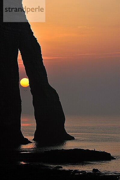 Silhouette der Porte D'Aval  ein natürlicher Bogen in den Kreidefelsen von Etretat bei Sonnenuntergang  Côte d'Albâtre  Haute-Normandie  Frankreich  Europa