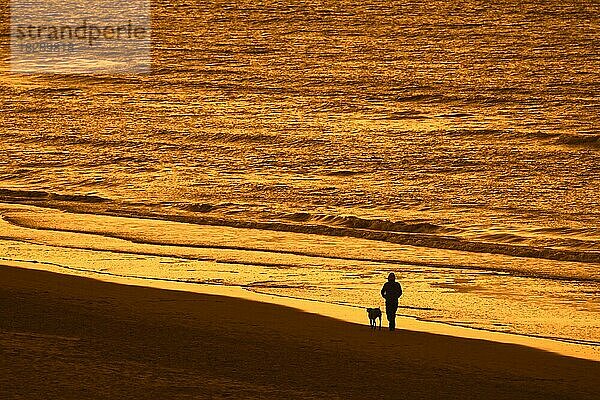 Einsamer Hundebesitzer  der mit seinem unangeleinten Hund am Sandstrand entlang spaziert  Silhouette bei Sonnenuntergang an einem kalten Abend im Winter