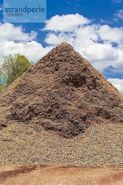 Holzabfall und Holzausschuss  nicht zusammengepresst in Form von unregelmäßig zerkleinerten  getrockneten  dunklen und helleren Rinden